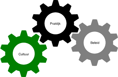 afbeelding van 3 radertjes met de teksten cultuur, praktijk en beleid